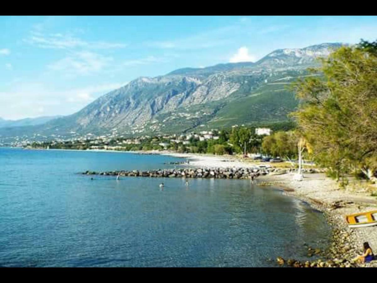 Filothei Apartments Mikra Mandinia Bagian luar foto